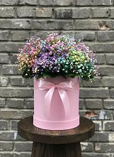 Цветочная композиция из Гипсофила и Розы в шляпной коробке #REPLACE_PRED# Лучегорске