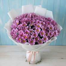 Букет цветов из:  Хризантемы в Лучегорске