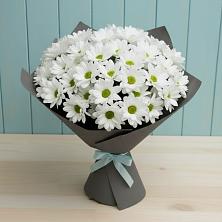 Букет цветов из:  Хризантемы в Лучегорске