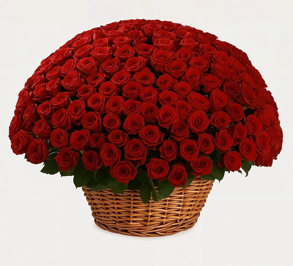 Премиум букет из: Розы в Лучегорске