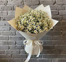 Букет цветов из:  Ромашки в Лучегорске