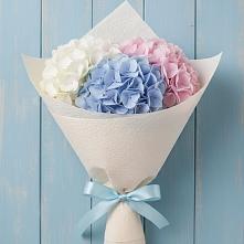 Букет цветов из:  Гортензия в Лучегорске