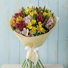 Букет цветов из:  Альстромерии в Лучегорске