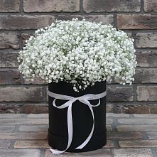 Цветочная композиция из Гипсофила в шляпной коробке в Лучегорске