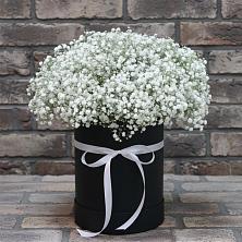 Цветочная композиция из Гипсофила в шляпной коробке в Лучегорске
