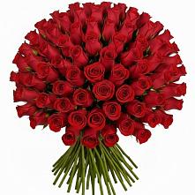 Букет Красные розы Чери Лав в Лучегорске